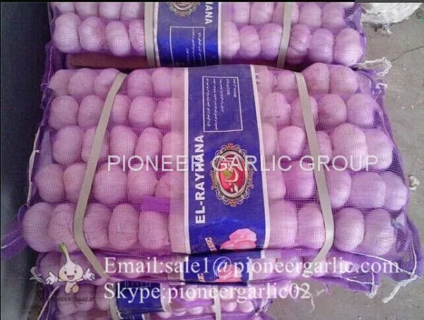 Small Packing 5.5-6cm Fresh Red Garlic Produced In Jinxiang Shandong China photo-5