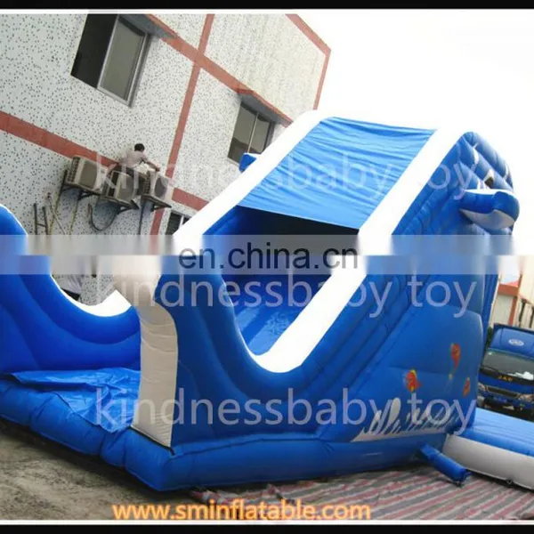 Top Selling Giant Inflatable Slide,Funny Amusement Park Slide For Kid photo-3