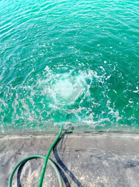 Turbo Blower ZCJSD for Shrimp Farm Aeration Aerator for CP Group Hatchery Farm photo-5