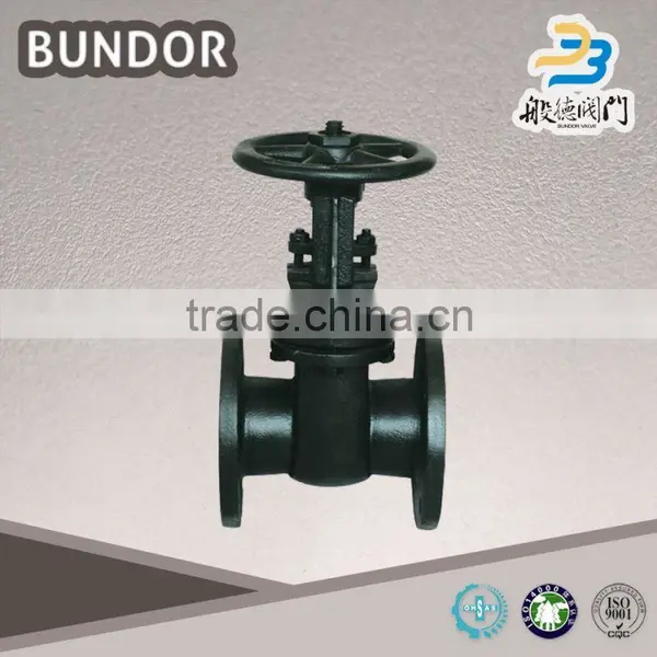 What Is Gate Valve Body 300Lb photo-3