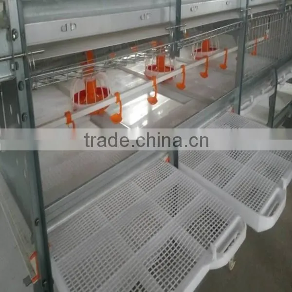 Huaxing New Design Automatic Broiler /dorking Chicken Cage photo-4
