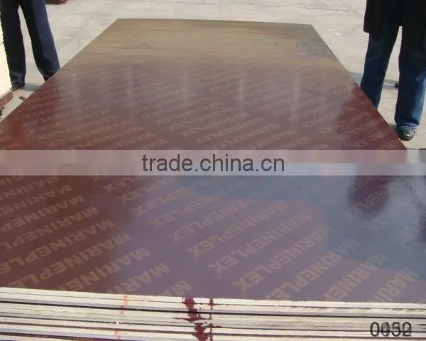 Qingdao 15mm Film Faced Plywood for Construction photo-3