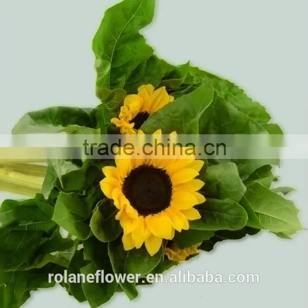Most Popular Promotional Flower Wholesale Small Sunflower photo-4