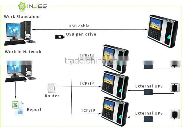 Robust Network Thumb Scanner Color Screen Time And Attendance Machine photo-6