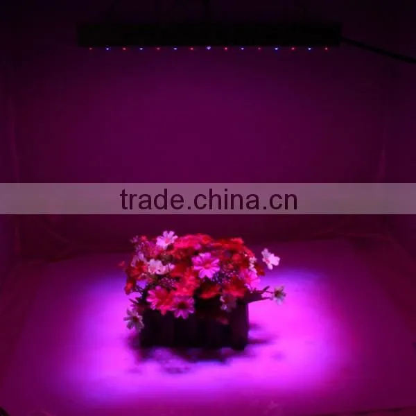 Plastic Led Grow Light 14w Grow Light Panel 225 photo-6