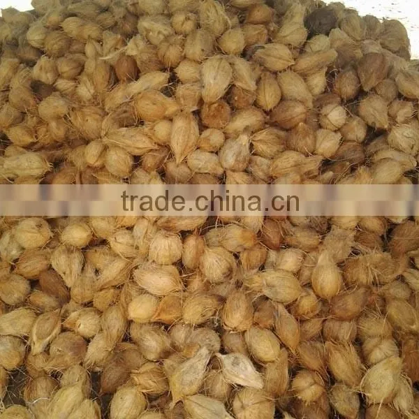 Bulk Sale for Semi Husked Coconuts photo-4