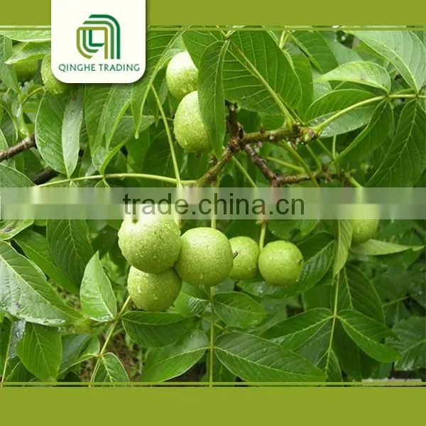 Bulk Dried Walnuts With Thin Shell, Walnut Kernels for Sale photo-2