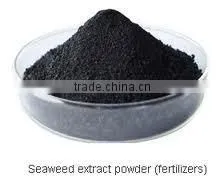 Water Souble Seaweed Extract Fertilizer Granule/ Powder/Flake