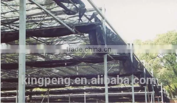 Agricultural Greenhouse Sunlight Shading Net Price photo-3