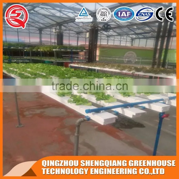 China Multi-span Glass Greenhouse Hydroponic Systems for Agriculture photo-6