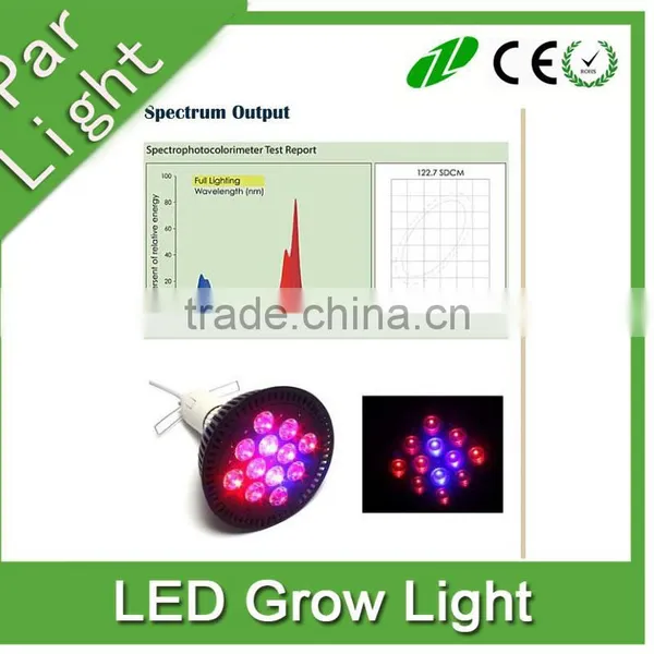 PAR38 Plant Light Bulb E27 12W 24W 36w 45w 54w Grow Led Light Led Grow Light photo-4