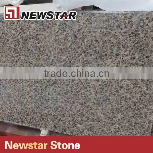 Kitchen Countertop Leopard Granite Prefab Countertop photo-6