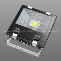 Driverless 100W LED Flood Light Portable Outdoor Lighting Input 180-265V Stage Led Floodlight Lamp photo-3