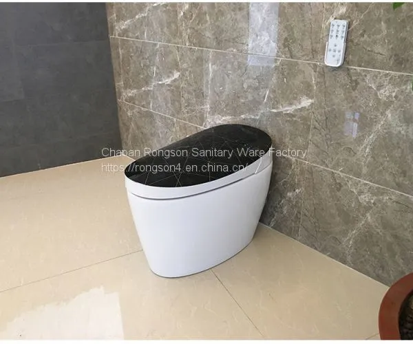 Automatic Closing Toilet Seat  Flushing System  Toilet​