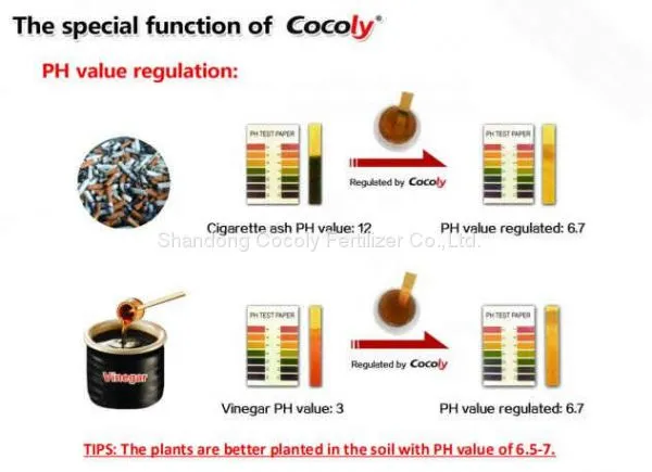 Cocoly Granular Water-soluble Fertilizer China Manufacturer photo-5