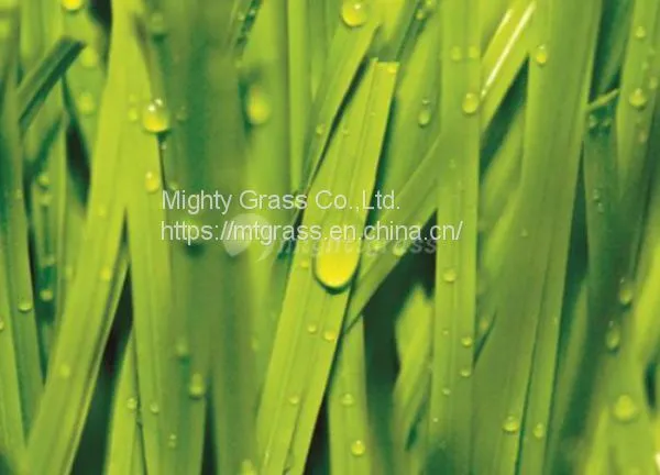 Artificial Grass for Football, MT-Stem-Plus / MT-Stem XL-Plus