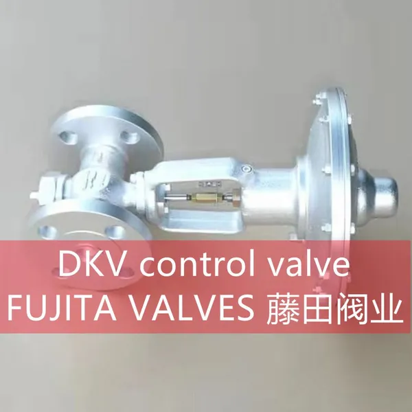 DKV FUJITA VLAVES