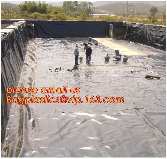 Hdpe Geomembrane Price Pool Liner Geomembrane,swimming Pool Liner Lake Dam Geomembrane Liners,drainage Ditch Liner Geo m photo-2