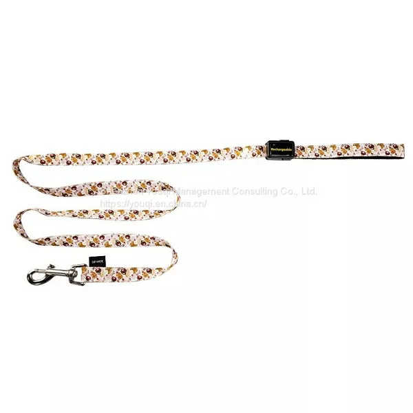 Hot Sale Light Up Dog Leash/ Nylon Rechargeable Led Dog Leash photo-3