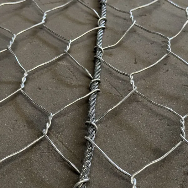 Galvanized Double Twist Steel Mesh Grid Structure Reinforced Mesh for Coastal Rockfall Protection Netting photo-2