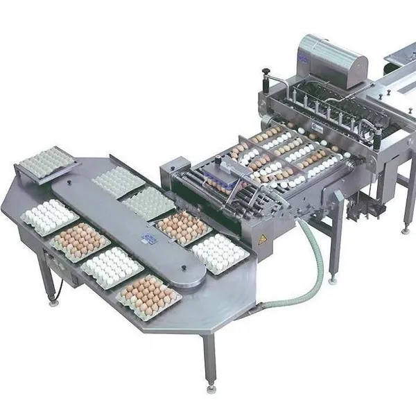 Egg Shell and Liquid Separating Machine|Chicken Egg Breaking Machine