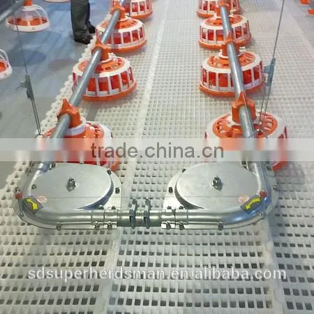 Automatic Poultry Equipment