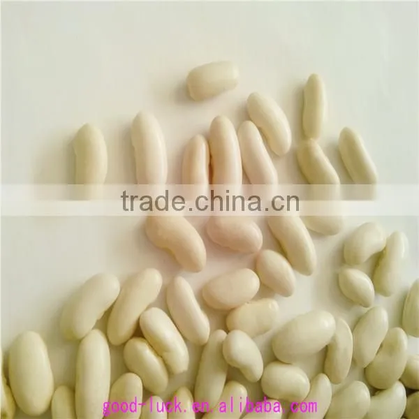 White Kidney Beans (new Crop) photo-6