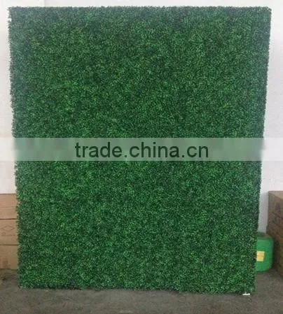 PVC Coated Frame Finishing and Nature Pressure Treated Wood Type Artificial Boxwood Hedge photo-6