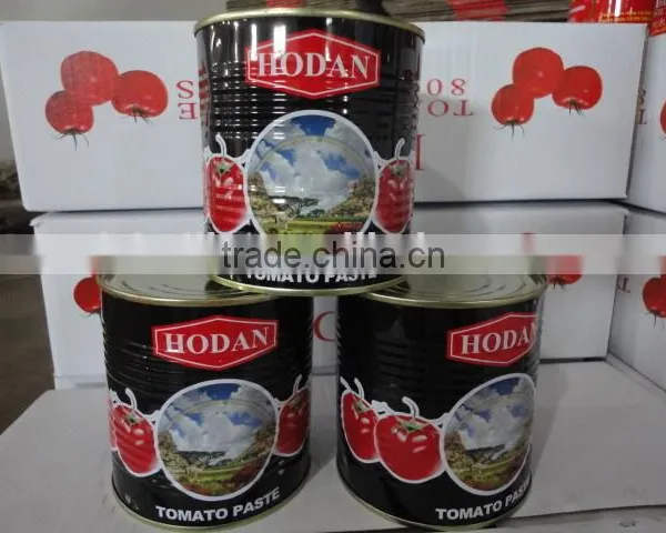 Pure Canned Tomato Paste in Printing 800gram, 210gram, 70gram, 400gram
