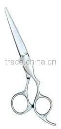 Professional Hairdressing Stainless Scissors