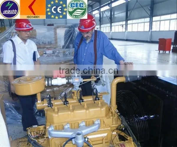 High Concentration Coal Bed Gas Generator photo-4