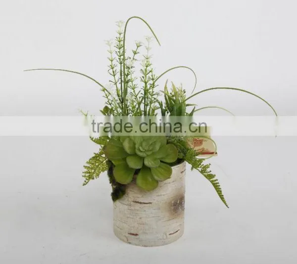 Artificial Succulent Plant Bonsai Potted new products