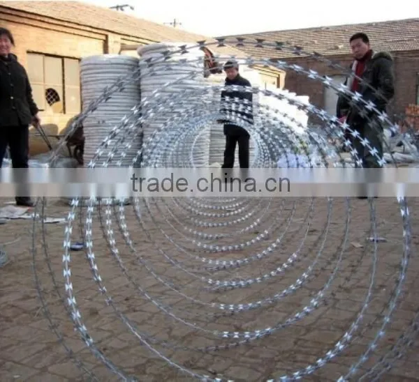 Low Price Concertina Razor Barbed Wire BTO-22/razor Wire photo-4