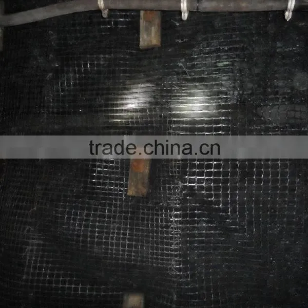 China Plastic Tensile Net photo-4