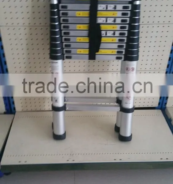 Telescopic Ladder