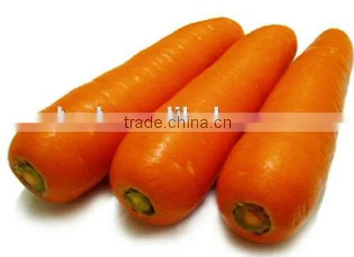 Fresh Carrot Fresh Vegetable High Demand Products Carrot photo-2