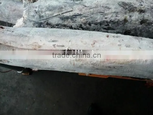 Frozen Fresh Black Marlin HGT Cash Sale photo-2