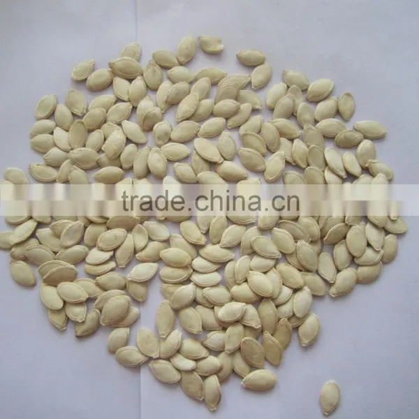 Dried Snow White Pumpkin Seeds Lady Nail Pumpkin Seeds photo-2