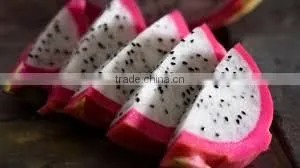 TROPICAL FRUIT