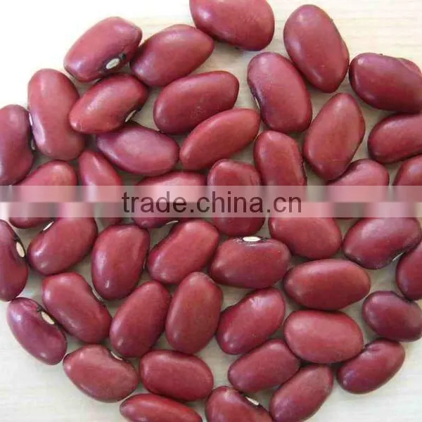 Red Kidney Beans
