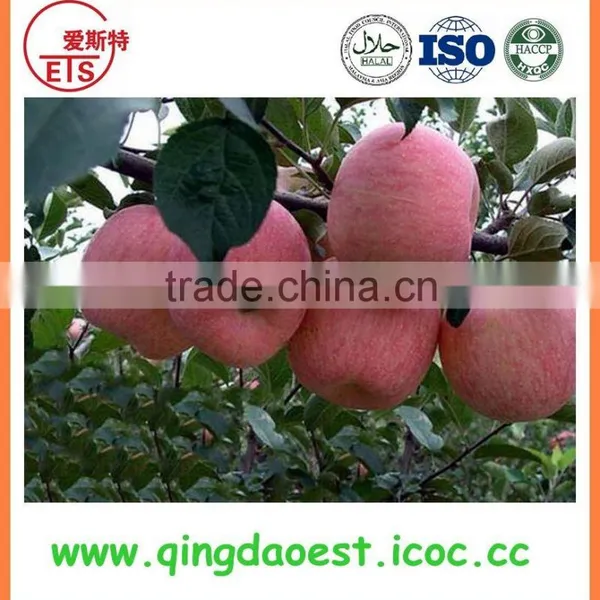 Fresh Red Fuji Apple photo-2