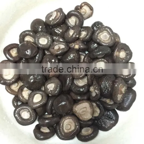 All Kinds of Cans Canned Food Shiitake Mushroom 1kg photo-3