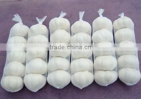 2015 New Crop Chinese Fresh White Garlic photo-4