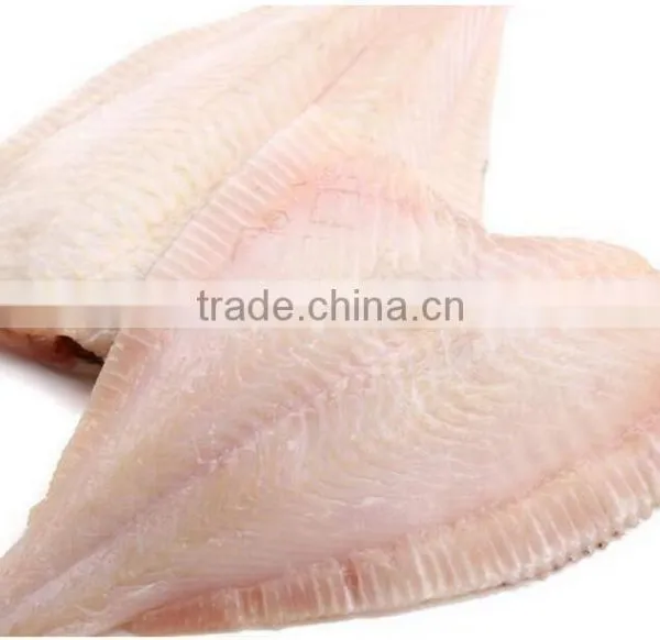 Automatic Cuttlefish Peeling Machine/sleeve-fish Skinning Machine photo-3