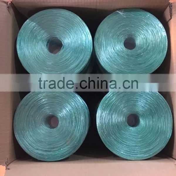 Mint Green Speed Straw, PP String,pp Twine 500g/roll photo-2