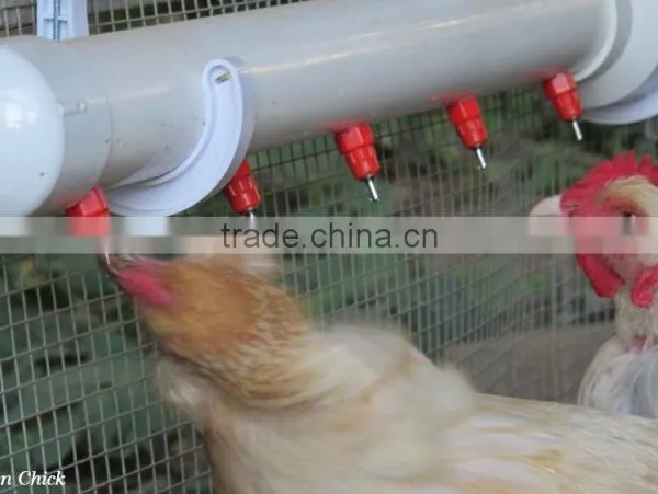 Automatic Chicken Feeding System From China Manufacturer/silo Feeding System photo-3