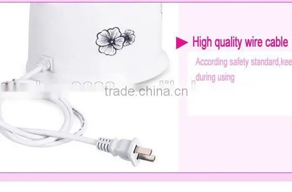 Handy Mist Deep Cleaning Facial Steamer Manual for Promotion Gift photo-5