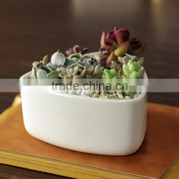 New Design Rounded Triangle Small White Ceramic Shallow Pot photo-3