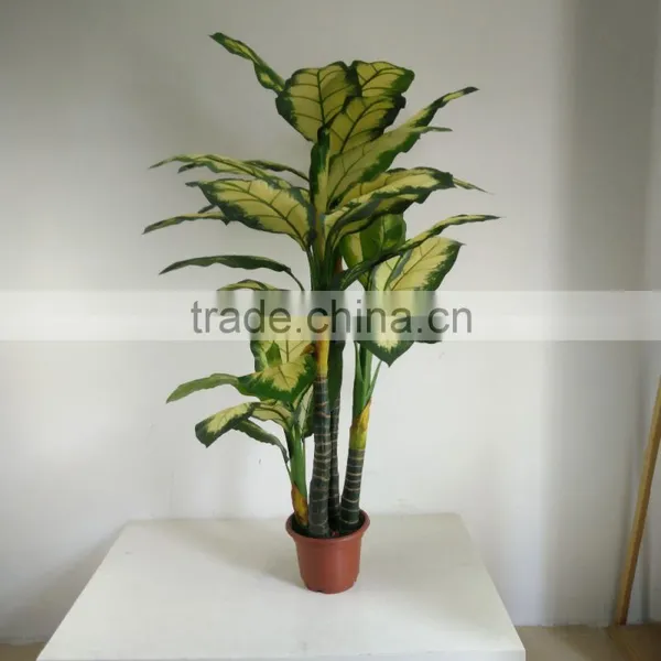 Fake Decorative Dieffenbachia Rohdea Artificial Evergreen Wholesale photo-6