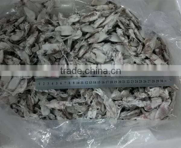 IQF China Yellow Sea Baby Squid photo-5